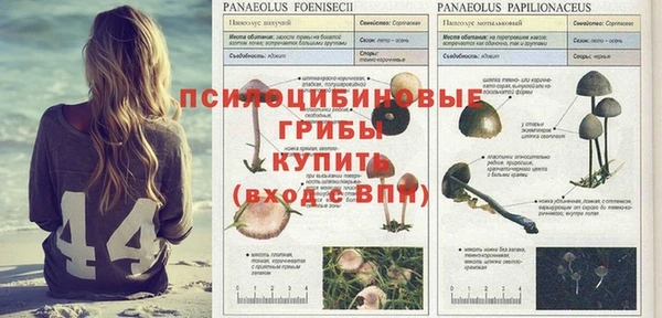 кристаллы Киренск