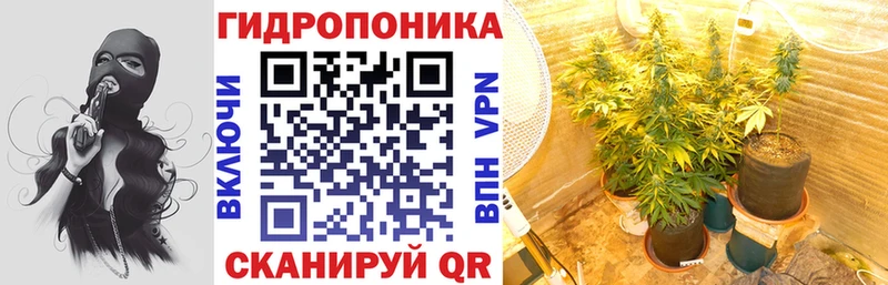 МАРИХУАНА планчик Коломна